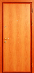 Дверь модель 9